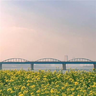 拆除主要核设施、缩减导弹库 美国对伊朗15点停战协议要点一览